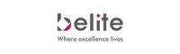  Belite ceramics