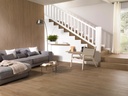 ICE TANZANIA ALMOND 45X120
