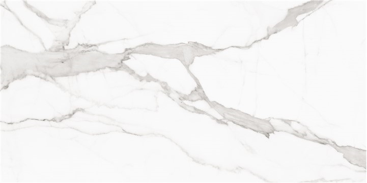 PULIDO PALLADIO 60X120 RECT  