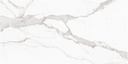 PULIDO PALLADIO 60X120 RECT  