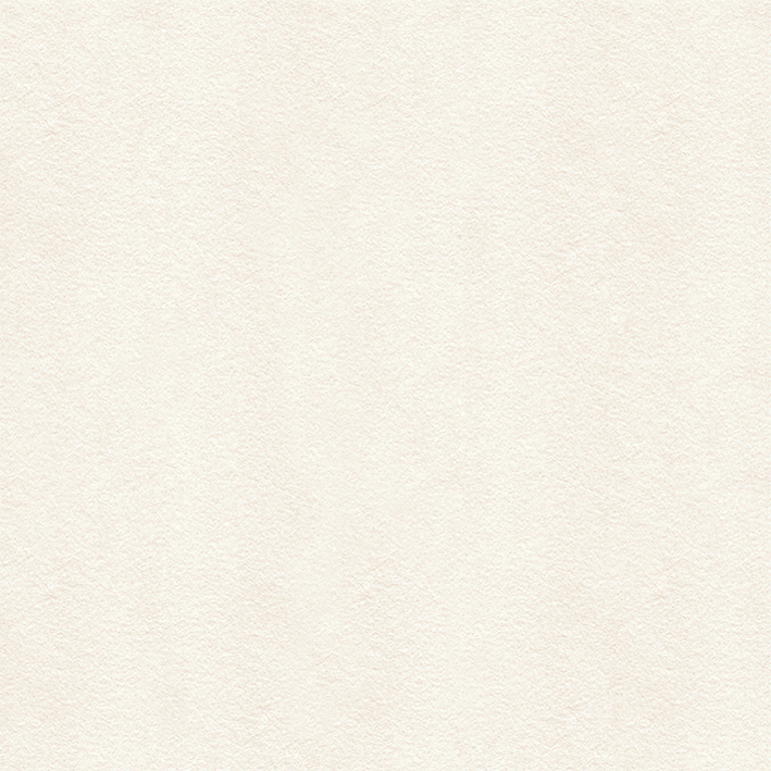 AVENUE WHITE LAPPATO L 59,6X59,6(C)