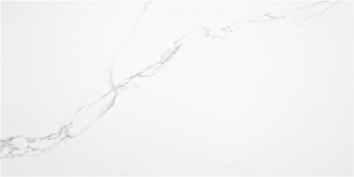 [17ALAMAI25] PUNE BLANCO SATINADO 60X120