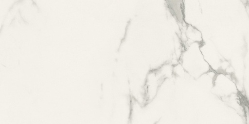 [PANARIA-DEC24] STATUARIO W.SOFT/RTT 30X60