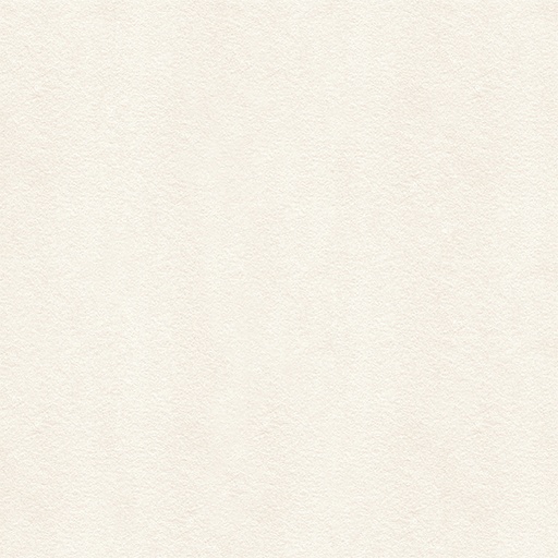 [POR-20250024] AVENUE WHITE LAPPATO L 59,6X59,6