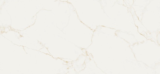 [AB-20250002] FINEZZA ORO PULIDO RECT 60X120 