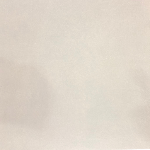 [BELITE-20250008] RIBE2424MF 60X60