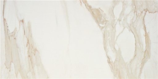 [10_ALA-20260006] PULIDO GOLDEN HILL 60X120 RECT
