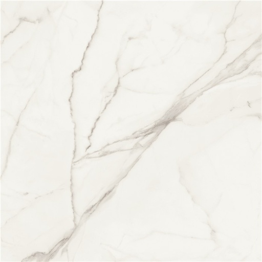 [10_ALA-20260007] PULIDO  KINSALE WHITE 60X120 RECT
