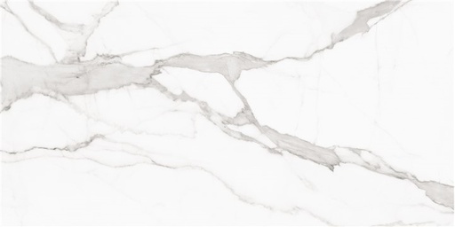 [10_ALA-20260015] PULIDO PALLADIO 60X120 RECT  
